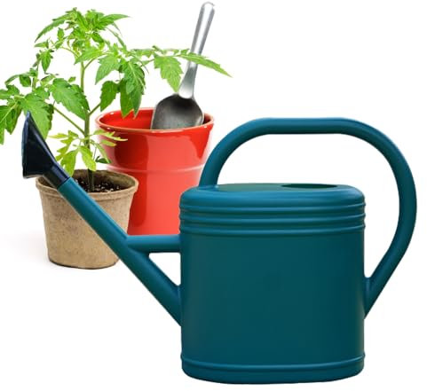 Regadera, Hervidor de riego con pico largo, Regadera de 5 litros para interiores para plantas de jardín, Regadera para plantas, Regaderas pequeñas para plantas de casa, flores de jardín, Regadera gran