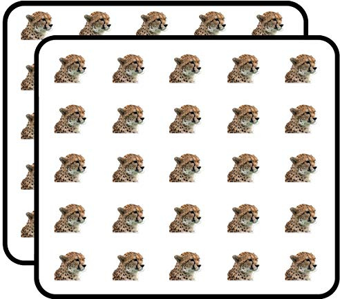 Cheetah Sticker for Scrapbooking Waterproof Vinyl Stickers for Water Bottle, Laptop & Phone Case 50 Pack