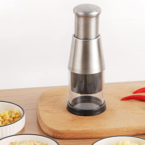 RANRAO Trinciatore di aglio pressato, taglierina di aglio della pressa dell'aglio dell'acciaio inossidabile 304, frantoio manuale dell'aglio della mano per tritare l'aglio affettare le cipolle