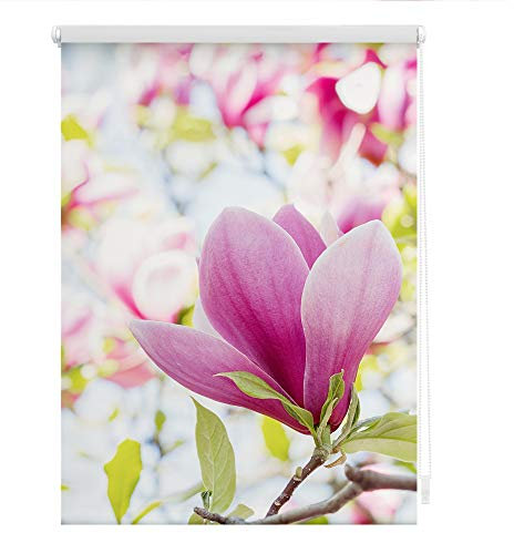 Lichtblick Klemmfix Verdunklungs-Rollo mit Motiv, ohne Bohren, Blickdicht, Seitenzugrollo, Made in Germany, Magnolie - Rosa 80 x 150 cm