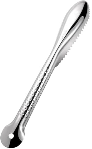 BIUDECO Squamatore in Acciaio Inossidabile Strumento Portatile per Rimozione Squame Leggero e Resistente Pulizia Cucina per Uso