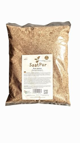 1Kg SaatPur Poa annua Rispengras Samen | Rasensaat Lückenfüller für Garten & Sportflächen | robust, schnellwachsend, strapazierfähig