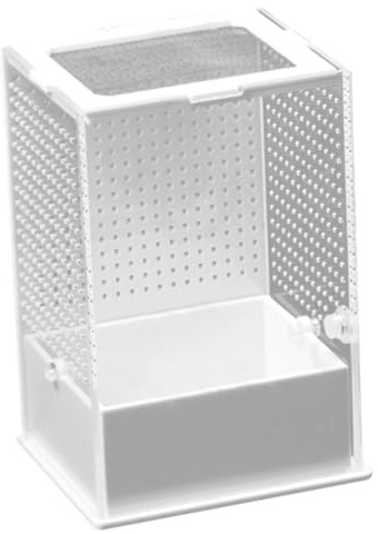 Toyvian Boîte Reptile Transparente Acrylique pour Nourrir Insectes et Élever Petits Reptiles Habitat Portable et Facile à Nettoyer