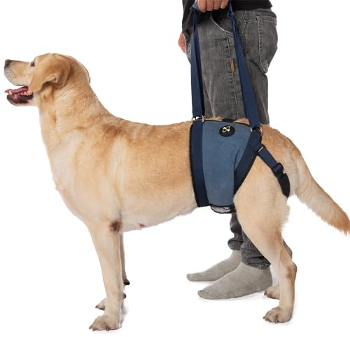 COODEO Hundetragetasche für Hunde, Hebegeschirr für die Hinterbeinstütze, Senior Hundegeschirr für schwache Hinterbeine nach ACL-Operation (XXL)