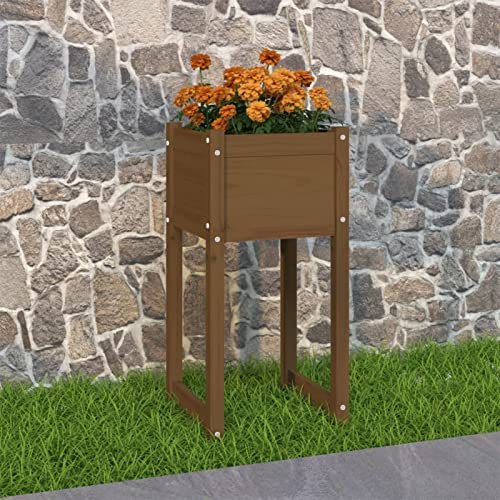 BaraSh Pflanzkübel Honigbraun 40x40x81 cm Massivholz Kiefer Bonsai Schale Groß PflanzküBel Hoch