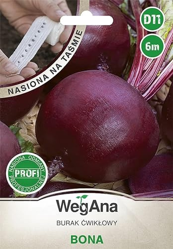 WegAna Bona Graines de betterave rouge Bande de semis 6m, Variété moyennement tardive, Graines de légumes robustes, Graines de légumes, Graines de culture