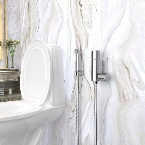 GY Bath Thermostatic Toilet Douche Bidet Spray Chrome, Stainless Steel Bidet Shower Kit with Brass Valve and Hose