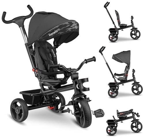 LIONELO Haari 2in1 Dreirad mit Schubstange ab 18 Monate bis 25kg, Vorwärts und Rückwärtsfahrt, schlauchlose Gummireifen, Freilauf geräumiger, Korb, Tasche, Getränkehalter