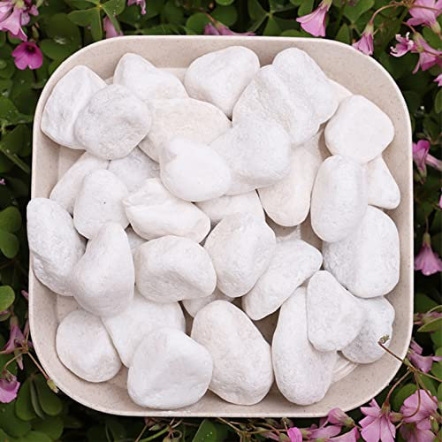 iedras Decorativas Blancas Natural,Piedras Decorativas Guijarros,Jardin de marmolina Blanca Naturales, para Relleno de Jarrón, Macetas, Paisajismo, Acuario, Hogar y Jardín