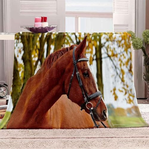 Kuscheldecke Flauschig Pferd 3D Decke 200x200 Tier Wohndecke Braunes Pferd Weich und Warme Flanell Fleecedecke für Sofadecke Couchdecke Tagesdecke m8475