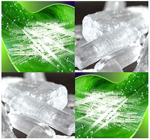 1LB Premium Menthol Crystals - 100% PURE Therapeutic Grade - By Oakland Gardens (Menthol Crystals 1 LB)