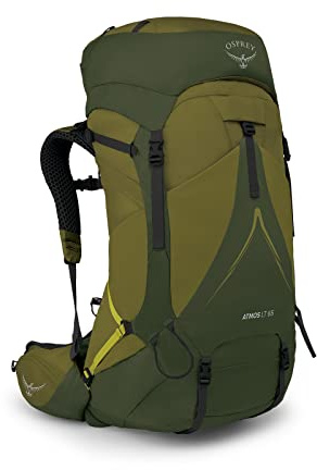 Osprey Atmos AG LT 65L Men's Backpacking Backpack, Scenic Valley/Green Peppercorn, L/XL
