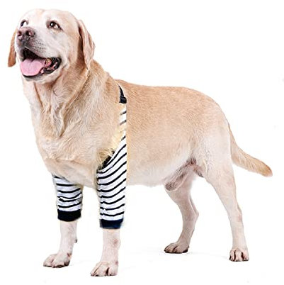 BT Bear Traje de recuperación de codo de pierna delantera para perro, protección de rodilla para perro, protector de heridas antilamer para perros medianos y grandes (rayas, XXXL)