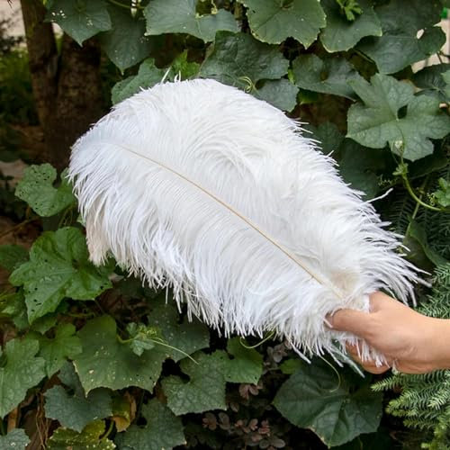 Straußenfedern 15–18 Zoll, Dekoration für Bastelarbeiten, Hochzeit, Party, Zuhause, Karneval, Bastelfedern, Zubehör, 10 Stück, Großhandel, Weiß, 30–35 cm
