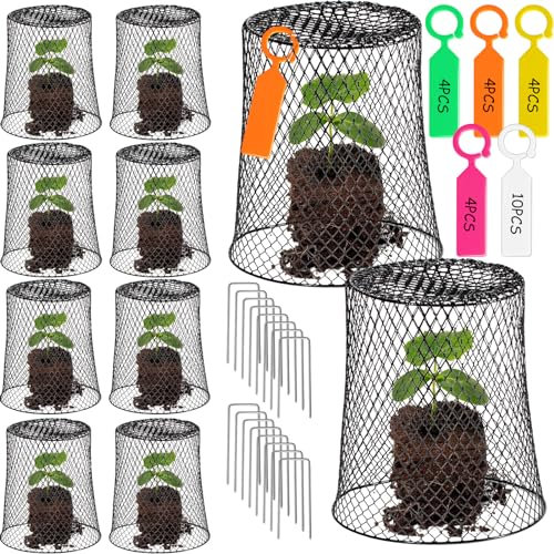 10 Stück 27,9 cm Hühnerdraht, Pflanzenschutz, schwarzer Draht, Gartenglocken, Hühnerdraht, Pflanzenschutz, Metall, robuste Gartenpflanzenglocke, zum Halten von Kaninchen, Hühnern, Eichhörnchen, Vögeln