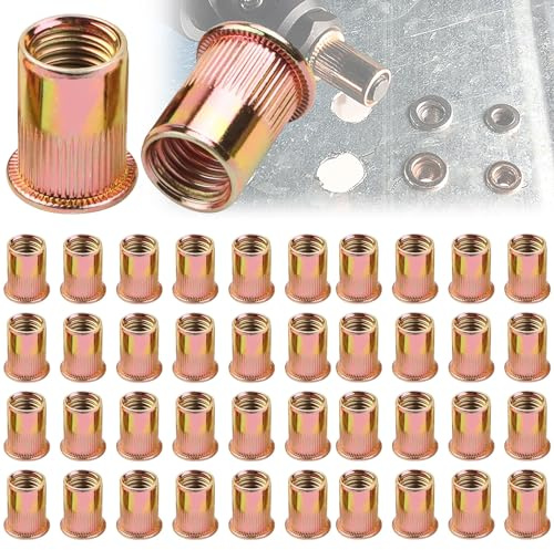 100 Stück Nietmuttern M6 Verzinkt Kohlenstoffstahl, Flachkopf Nietmuttern M6, Verzinkt Nietmuttern Blindnietmuttern, Verwendet für Metallplatten, Rohre usw.