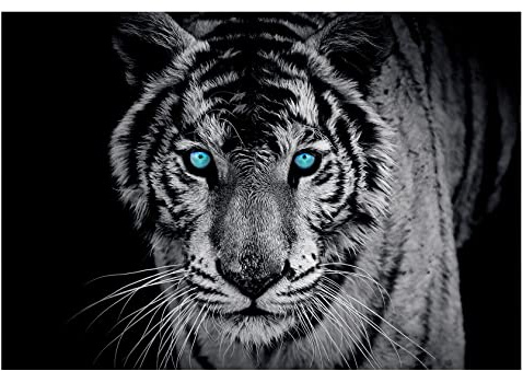 Forwall - Vlies Fototapete Tiger Tiere schwarz weiß Modern 312x219 cm - Fototapeten - Tapeten - für Wohnzimmer Schlafzimmer - Vliestapete Wandtapete Tapete 3D Effekt- inkl. Kleister