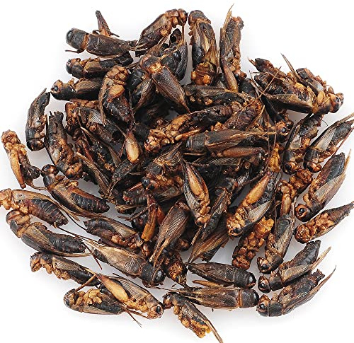 The Aqua Shack | Natürliche getrocknete Crickets, Leckerlis für Ratten, Zuckergleiter, Igel, Vögel (250 g)