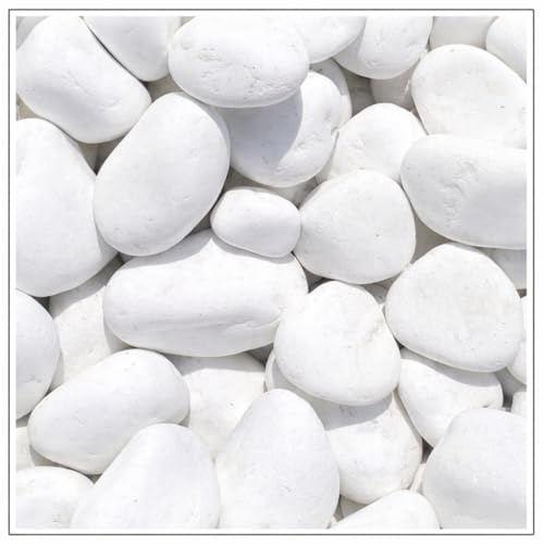 V-PREMIUM SOLUTION Weiße Kieselsteine 10 kg – Schneeweiße Dekosteine für Gartendeko, Wege, Blumentöpfe & Innenbereich – 3-6 cm – Thassos