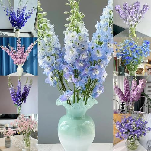 Semillas resistentes la delphinium, balcón de delphinium, para balcón resistentes para 40pcs