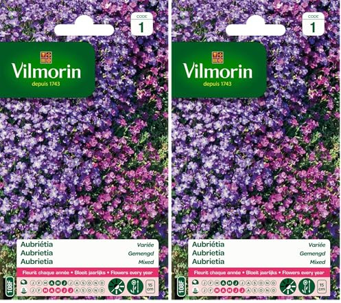 Vilmorin- Aubriéta en mélange - semences pour plantations - Fleurs Basses 15 cm vivaces - fleurit Chaque année - Floraison précoce, Bleu (Lot de 2)