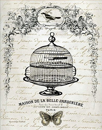Bild auf gerollter Leinwand, französischer Vogelkäfig I Babbit Gwendolyn – Tiere vertikaler Kunstdruck Vögel Vogelkäfig Schwarz Weiß Vintage Antik Alt Dec Leinwand, Kunstdruck, 45,7 x 35,6 cm
