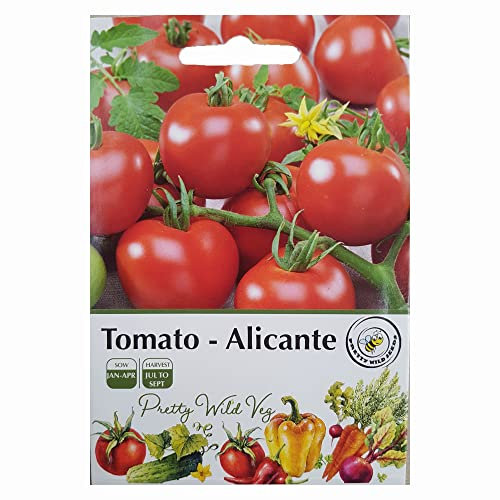 Tomato Seeds Shirley Mountain Magic Alicante Brandywine Micro Tom Golden Sunrise Patio Plum Moneymaker Roma (Alicante)