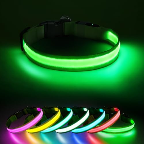Jewyow Leuchthalsband Hund, Hundehalsband Leuchtend, 7 in 1 Farben Leuchthalsband Hund, Wiederaufladbares USB-C LED Halsband mit Wasserdicht für Kleine,Mittlere,Große Hunde-Grün-S