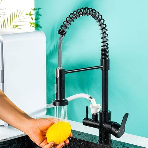 Mitigeur Cuisine avec Interface Lave Vaisselle Noir Robinet de Cuisine Double Mode Pivotant Acier Inoxydable-Noir