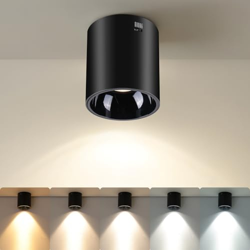 SWORDFORCE Ceiling Spot Lights Indoor 5-Color Dimmable Flush Mount Black Cylinder Down Light Modern LED Ceiling Light for Living Room Hallway Kitchen Dining Room Foyer