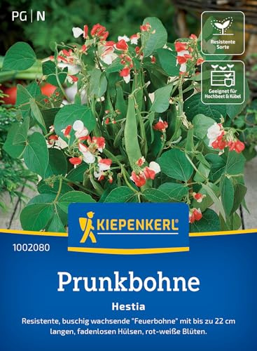 Kiepenkerl Prunkbohnensamen Hestia 1002080, Gemüsesaat | Zier- & Gemüsesamen für Hochbeet, fadenlos, aromatisch, Gemüsesamen für 35 Pflanzen, kompakt