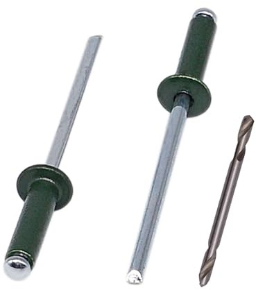 SKIR'CO (100 Stück) Lackierte Blindnieten 3,2 x 12 mm Aluminium Blindnieten DIN 7337 Stahldorn Popnieten inklusive Bohrer (Chrom Grün RAL 6020)