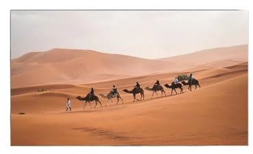 VNSMM smart home Ambient Light Rejecting ALR PET Crystal Frame Projection Screen 30- 120 For Ultra Short Throw UST Projector Projection Screens(30 inch)