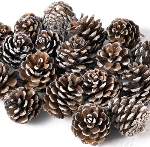 27Pcs Christmas Natural Pine Cones Bulk Rustic Snow Pinecones with String Pine Cone Pendant Winter Holiday Hanging Ornament for Xmas Tree Gift Tag Party Decoration, 1.6-2 Inch
