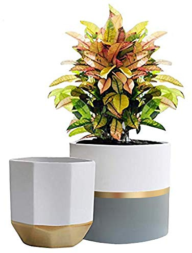 LA Jolie Muse White Ceramic Flower Pot Garden Planters 6.7 Inch Pack 2 Indoor Plant Containers with Gold and Grey Detailing