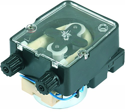 Seko Klassische Wasserpumpe mit Timer und 3 l/h Durchfluss