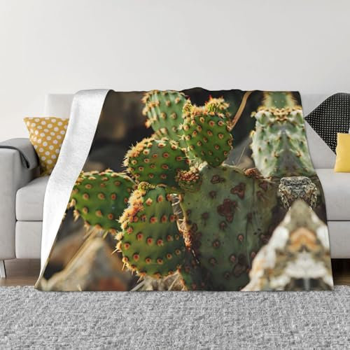 Cactus Blanket Plush Fuzzy Queen Size Soft Christmas Flannel Gift Couch Bed Sofa Cozy All Seasons
