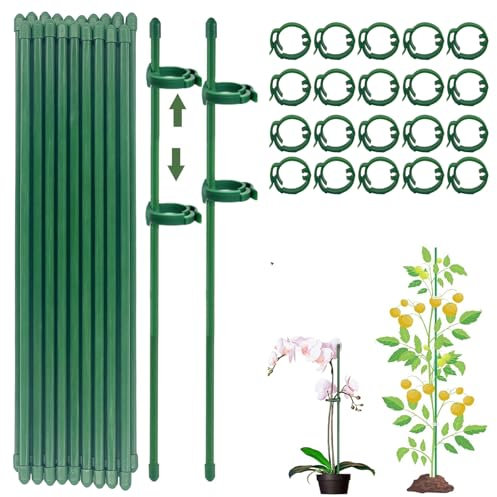Tutores para Plantas con 20 Piezas, 40 Tapas Protectoras y 20 Clips - Kit de Enderezar para Orquídeas y Jardín (80PCS)