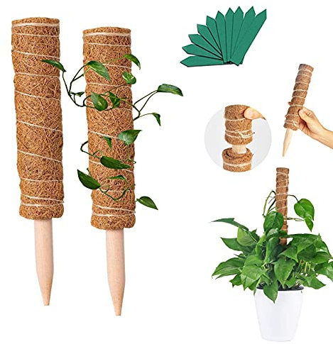 Palo Piante Totem Palo,2 Pezzi Totem di Cocco Supporto per Piante Totem Cocco Totem Palo con 10 Etichette di Piante in Legno,per Piante da Interni ed Esterni Rampicante Estensione (30cm)