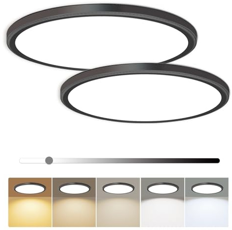 2 Pack 12 Inch Dimmable LED Flush Mount Ceiling Light Fixture 28W 3200LM 5 Color Temperature in One Super Slim Round Ceiling Lamp Low Profile Ceiling Lights for Living Bedroom Kitchen Laundry Black