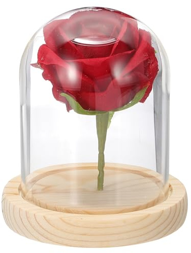 QUARKZMAN Glasglocke Ausstellungsdom 3.9 x 3.1 Zoll Glasdom Vitrine Holz Sockel Tischglas Behältnis Deko Glasglocke Für Pflanze Zuhause Deko Büro Hochzeit Party Natürlich