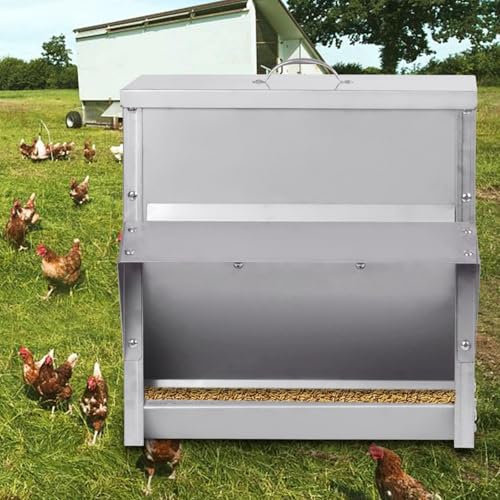 MOGOULUA Comedero automático para pollos de 30 L, de acero inoxidable, resistente a la lluvia, al aire libre, comedero para gallineros, comedero de doble cara, sin residuos para aves de corral de