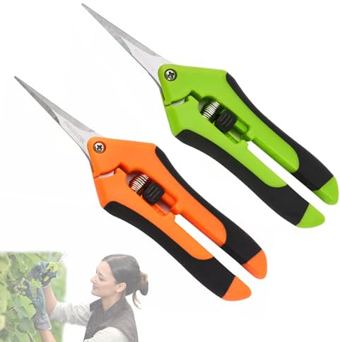 CTENG 2pcs Gartenschere Ernteschere mit Rostfreier Stahl Klingen, Feststellgriff Trimmschere, Klein Astschere Bonsai Schere Rosenschere, Pflanzenschere für Baumzweige Blumen Obst Gemüse