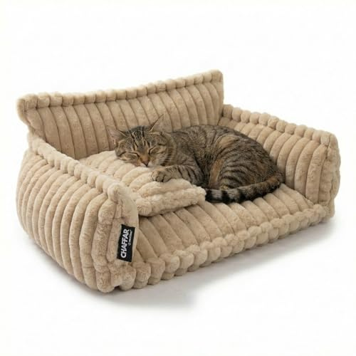 noviclass® Katzensofa Chaffar | Katzenbett Hundebett Hundesofa | Orthopädische Matratze | Moderner Stil | Cord-Design Größen (Kamel, M (80cm))