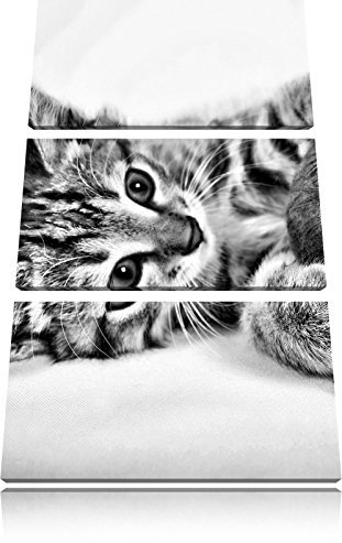Pixxprint Kätzchen mit Wollknäuel, Leinwandbild 3 Teilig, Gesamtmaß: 120x80cm, Wandbild, Dekoration, fertig gespannt, Kein Poster