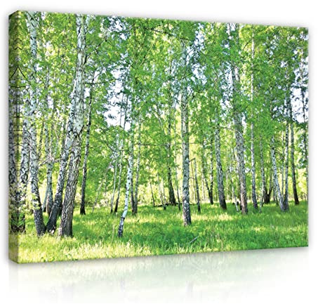 WallArena Leinwand Bilder - Wald Grün Natur Landschaft - 80x60 cm | Leinwandbilder, Bild auf leinwand, Wandbild XXL groß Wandbilder für Wohnzimmer Schlafzimmer Wohnzimmerbilder