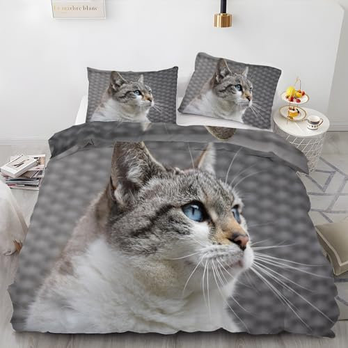 BettwäSche 220x240 Katze Bettbezug mit 2 Kissenbezug 80x80 cm Weiche und Angenehme 120g Mikrofaser Bettwaren Blaue Augen Bettwäsche-Sets 3-Teilig mit Reißverschluss für EinzelbettDoppelbett