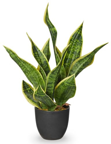 Arborus Bogenhanf Kunstpflanzen im Schwarzen Topf 47 cm Künstlicher Bogenhanf Grün Dekopflanzen Zimmerpflanzen wie Echt für Tisch Regal Fensterbank Deko im Wohnzimmer Schalfzimmer Badezimmer
