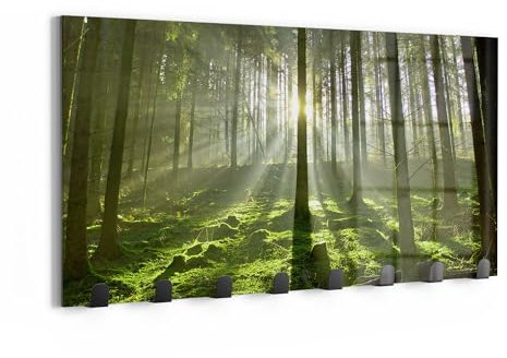 DEQORI Wandgarderobe Glas & Metall | Motiv Waldlichtspiele | 60x30 cm | Design Haken-Leiste modern | Garderoben-Paneel für Flur, Wohnzimmer & Schlafzimmer | magnetisch & beschreibbar