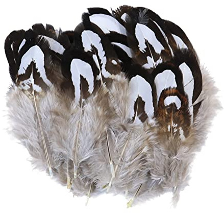 JAWSEU 100pcs Fasanenfedern 5-10CM Natur Bunte Federn zum Basteln Natürliche Truthahnfedern Naturfedern Bastelfedern Federn Deko für DIY Traumfänger Kostüm Karneval Maske Hochzeit Party Dekoration
